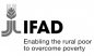 International Fund for Agricultural Development (IFAD) logo